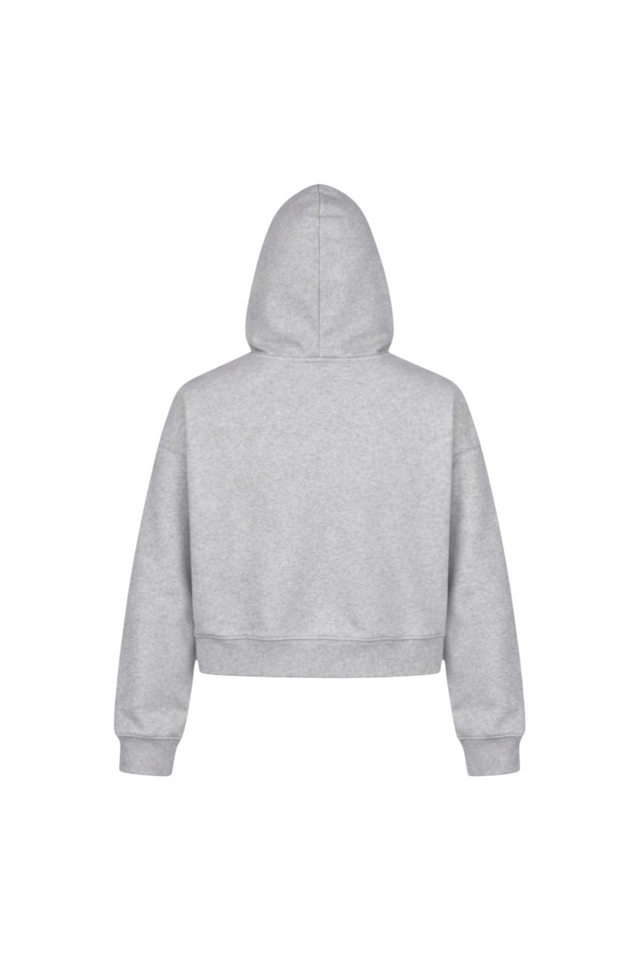 Sweat à Capuche Boxy Gris Clair